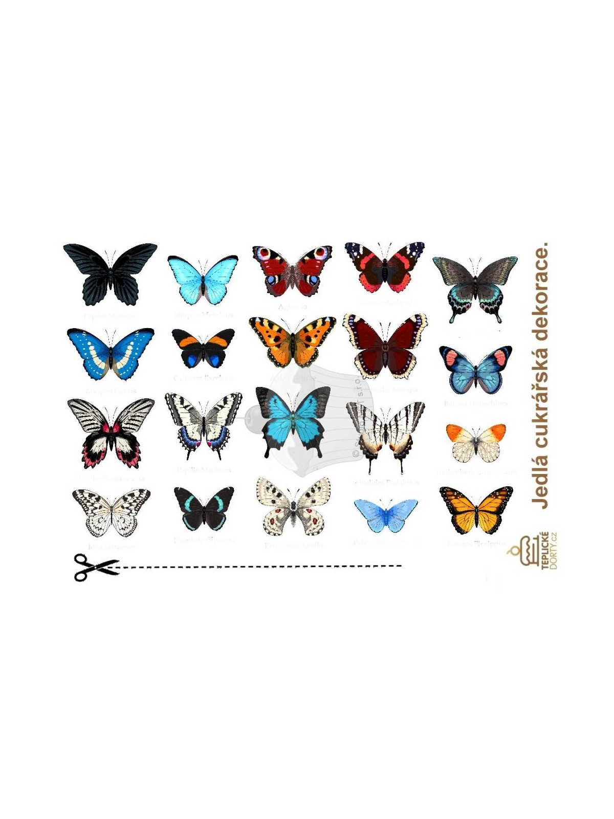 "Butterflies Amazon 20pcs" - A4