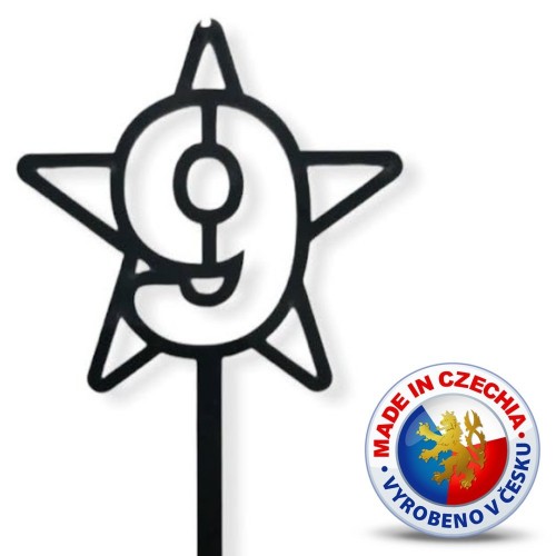 Cake Topper - Star No.9