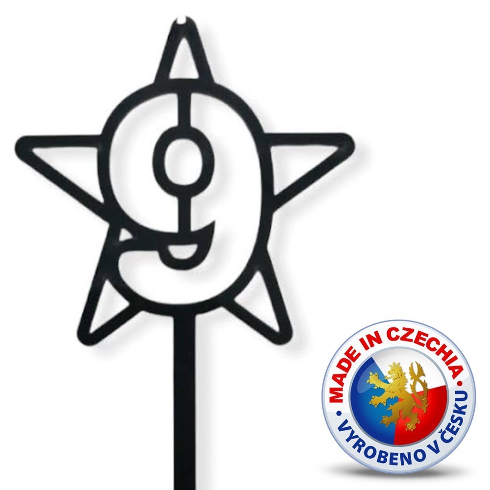 Cake topper - Star No.9