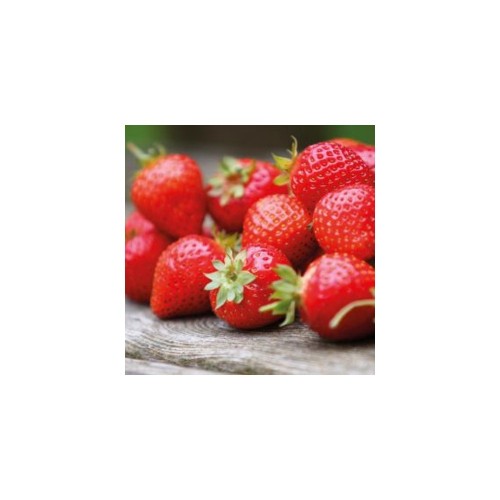 FunCakes Flavouring  - Erdbeere 120g