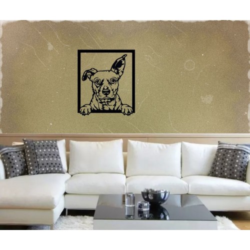 Wall mural - American pitbull terrier