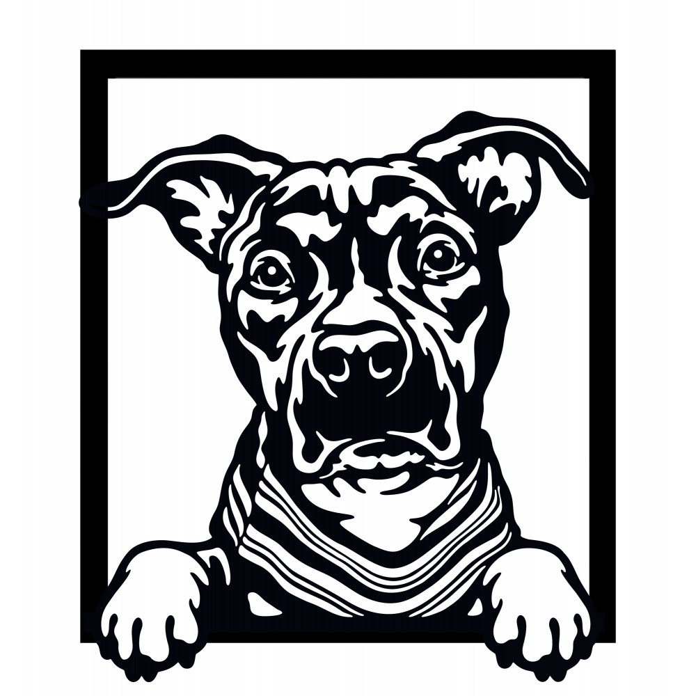 Wall image - American Staffordshire Terrier