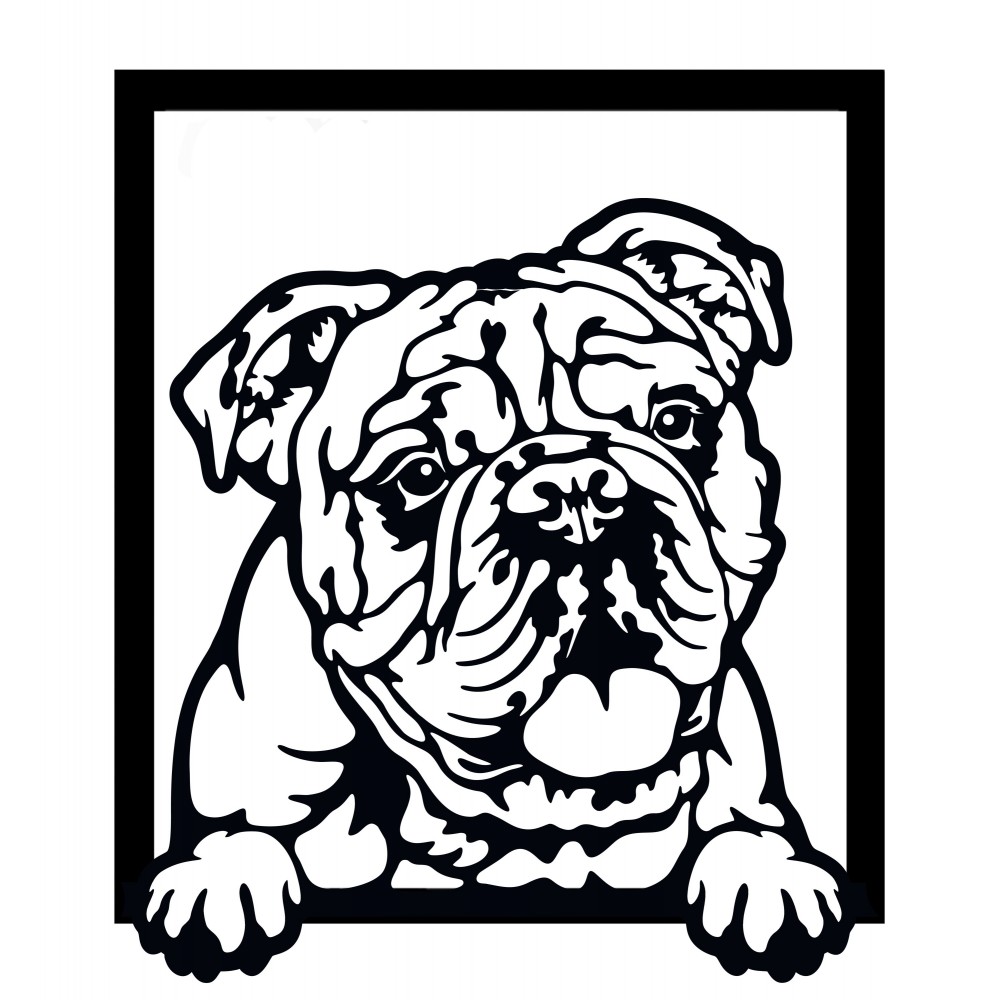 Wall image - English bulldog