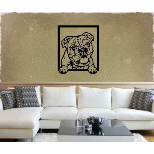 Bild an der Wand - Englische Bulldogge