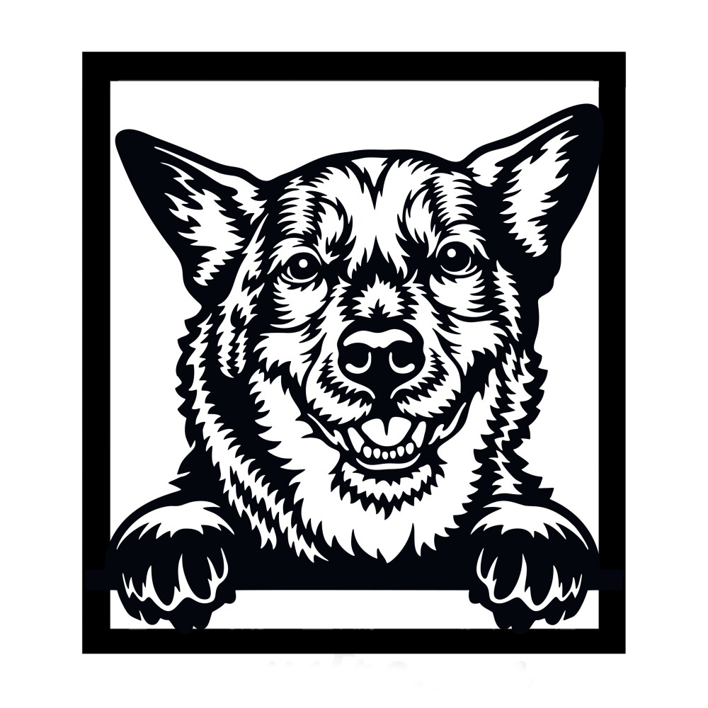 Wall image - Australian Cattle Dog