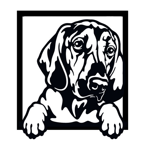 Wall art - Bloodhound