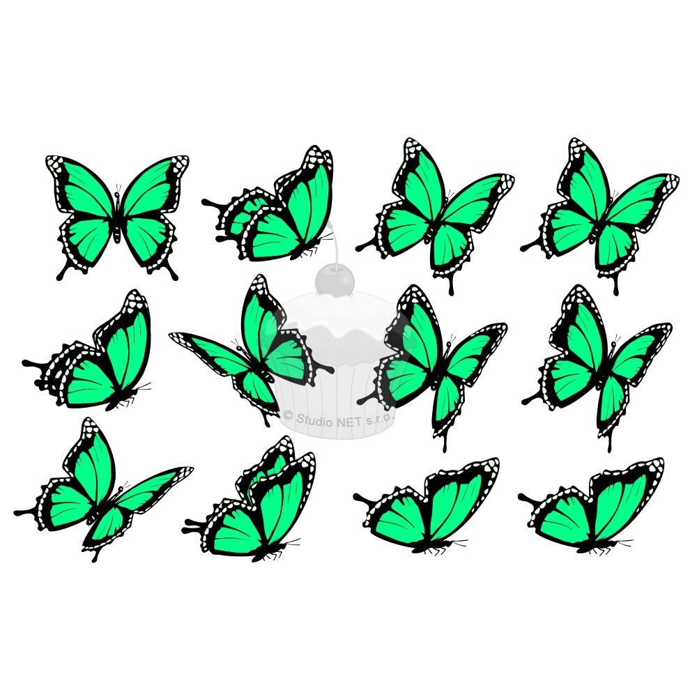 "mint  butterflies 12 pcs" - A4