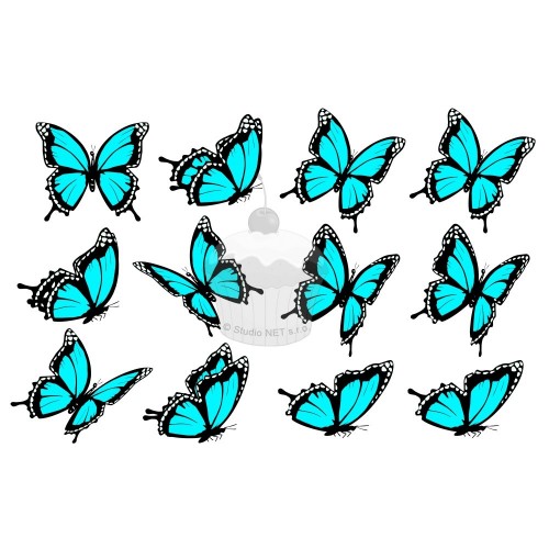 "turquoise butterflies 12 pcs" - A4