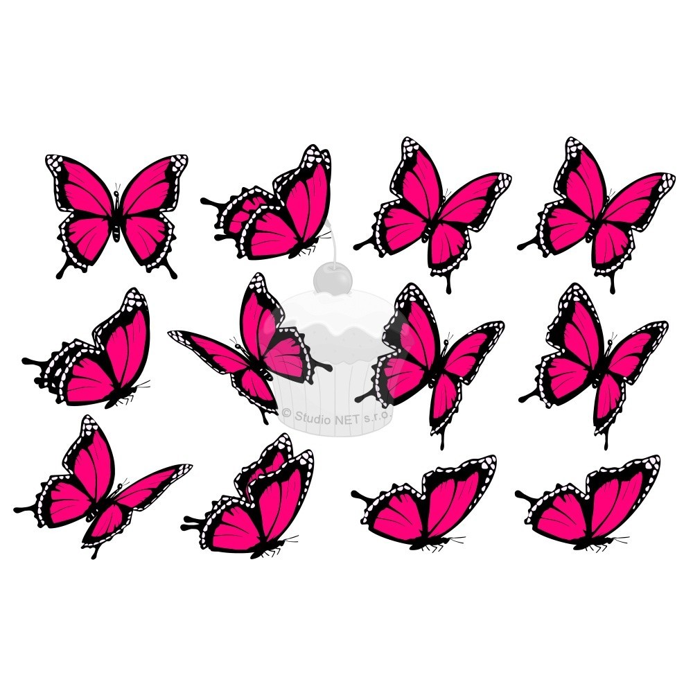"fuchsia butterflies 12 pcs" - A4