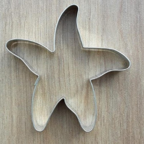 Stainless steel cutter - starfish