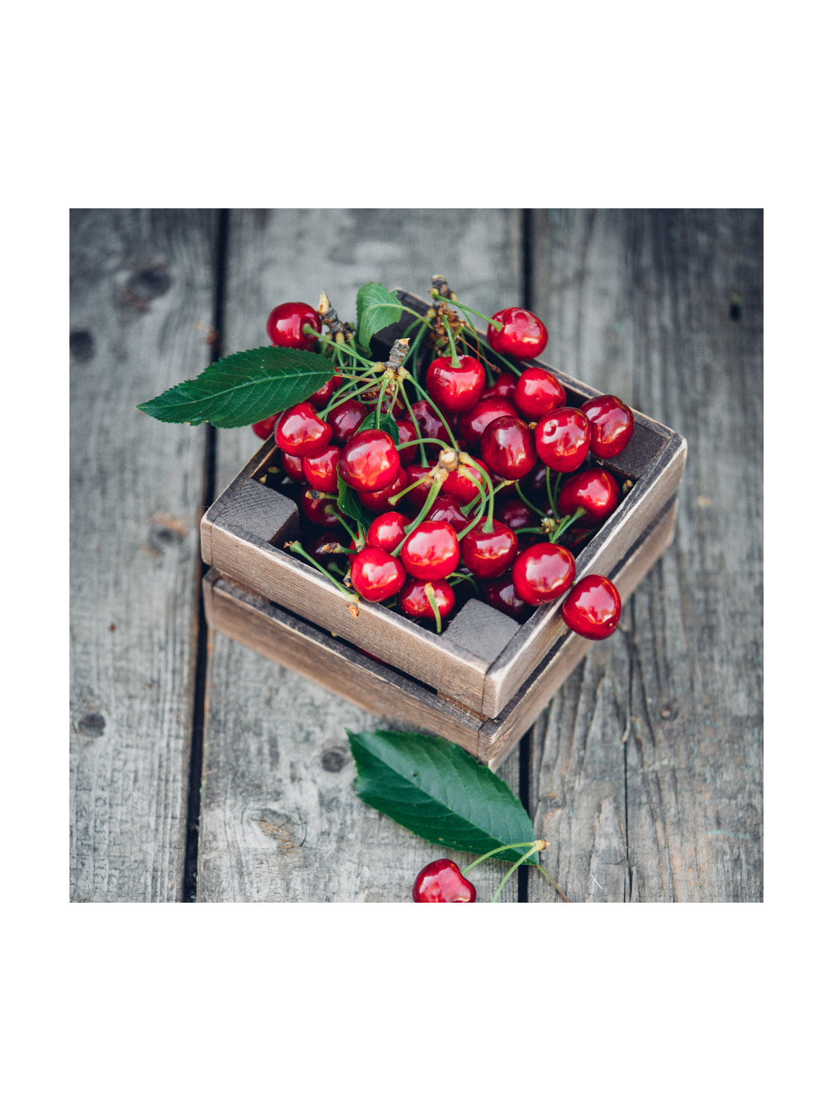 Food aroma 20ml - CHERRY