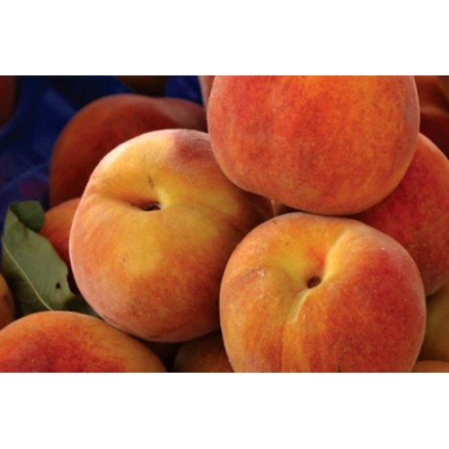 Flavouring 20 ml - PEACH