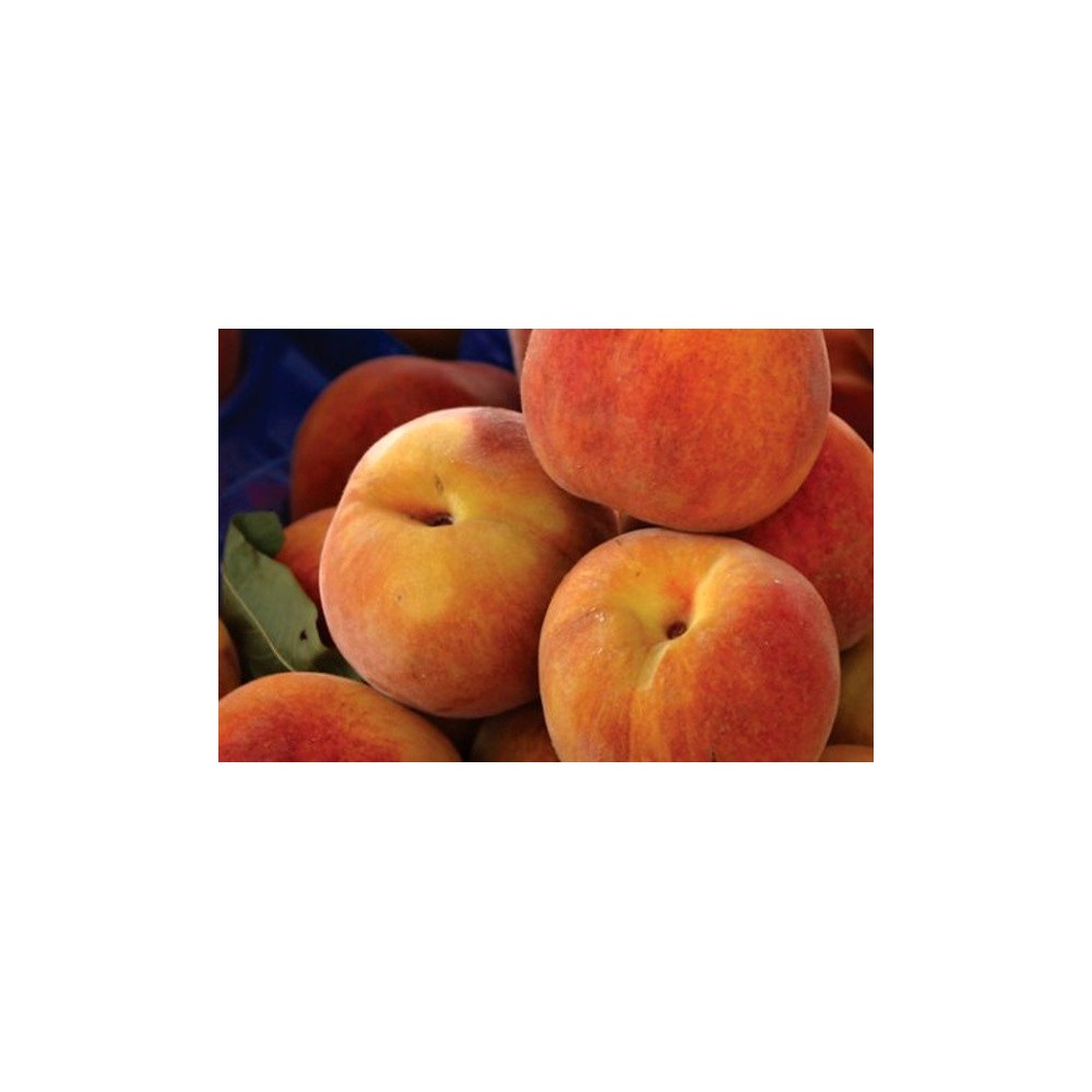 Flavouring 20 ml - PEACH