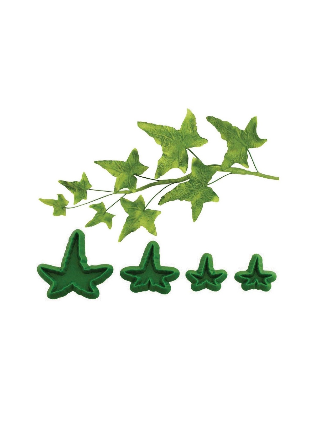 Pointed ivy - Shaper Spitzefeu - 4 Stk